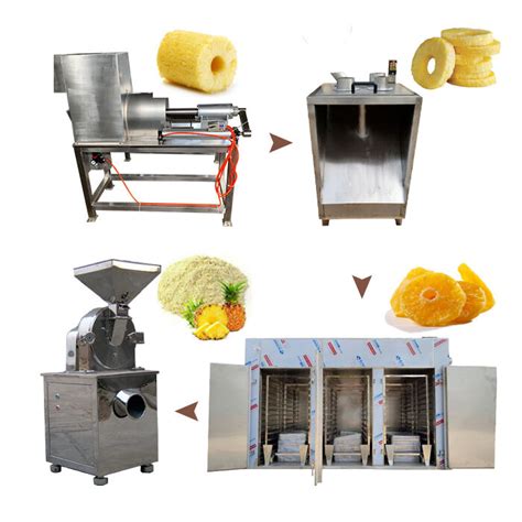pineapple processing machinery|Pineapple processing machines for sale .